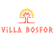 Вилла Босфор (Железный Порт)