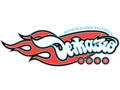 Logo-dejavu