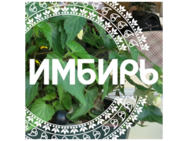Имбирь
