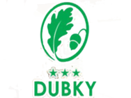Дубки (Ужгород)