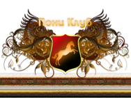 Пони клуб