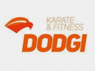 Dodgi
