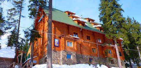 главная
