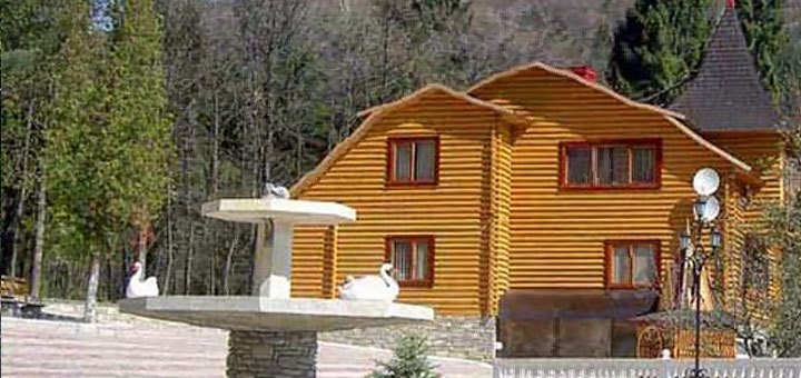 карпатский чай для похудения карпатский чай для похудения